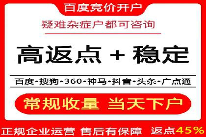 百度SEO推广公司经典之作：打造行业领先品牌